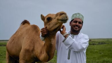 الضباب-والرذاذ-والمحيط.-صلالة-العُمانية-تحتضن-السعوديين-بعطلة-لا-تُنسى