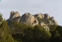 وادي-ذي-غزال-في-الطائف-يعيد-تعريف-السياحة-الطبيعية-والمغامرة-الهادئة